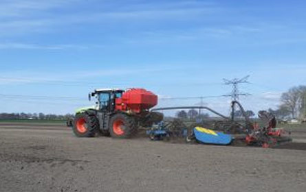 the sowing